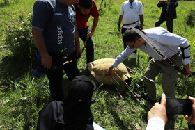 اولین مرحله مسابقات کشوری تری دی آرچری در شهرستان اهر