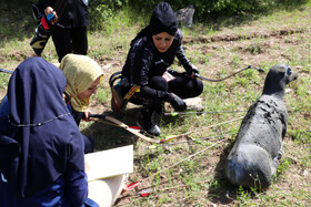 اولین مرحله مسابقات کشوری تری دی آرچری در شهرستان اهر