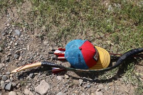 اولین مرحله مسابقات کشوری تری دی آرچری در شهرستان اهر