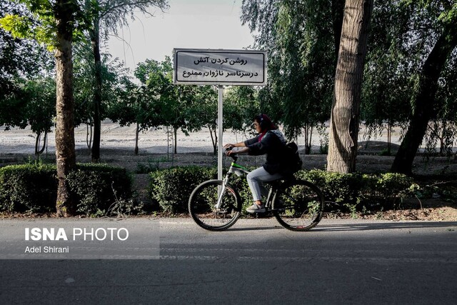 اراضی ۱۳۸ هکتاری برای پارک جنگلی بوشهر تعیین تکلیف شود