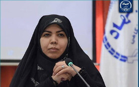 بررسی موانع و راهکارهای توسعه تولید گیاهان دارویی در کمیسیون بهداشت مجلس/تأکید جهاددانشگاهی بر لزوم تدوین برنامه ملی زنجیره ارزش در این حوزه