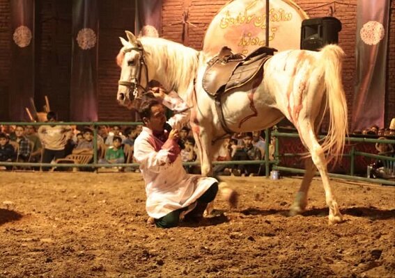 پنجمین شب سوگواره ملی ده‌زیار کرمان و تعزیه علی‌اکبر(ع) +عکس و فیلم