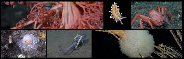 نگاهی به برترین تصاویر علمی ماه از نگاه مجله «نیچر»