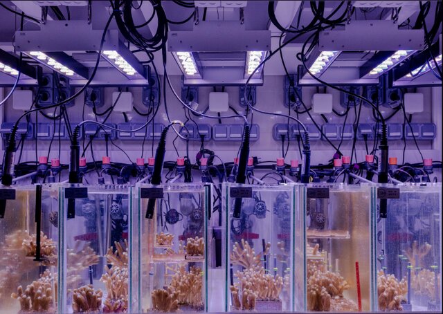 نگاهی به برترین تصاویر علمی ماه از نگاه مجله «نیچر»