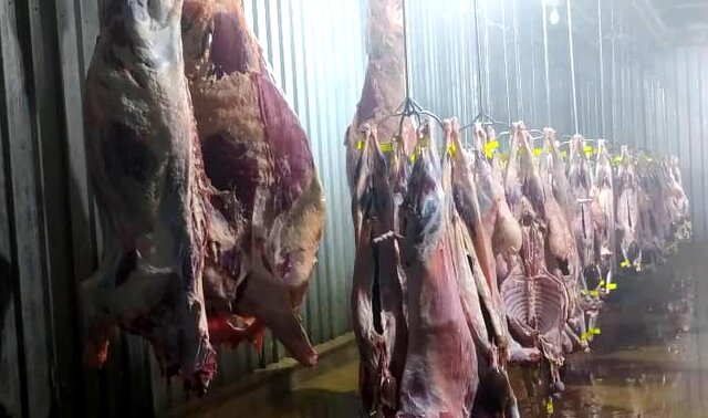 خودکفایی کهگیلویه و بویراحمد در تامین گوشت قرمز با بهره‌برداری کامل از کشتارگاه صنعتی یاسوج
