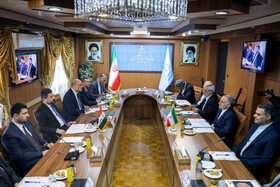  دیدار خالد شوانی، وزیر دادگستری عراق و امین حسین رحیمی، وزیر دادگستری ایران