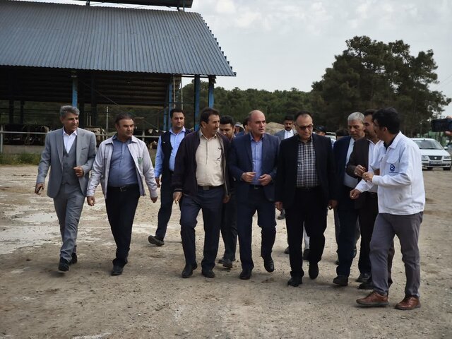 نگرش دیوان محاسبات پیشگیری از تخلفات است نه مچ‌گیری
