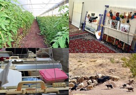 سرمایه‌گذاری، کلید توسعه پایدار جوامع روستایی