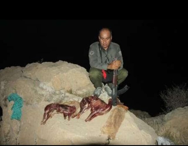 شهادت یک محیط بان در منطقه حفاظت شده خاییز