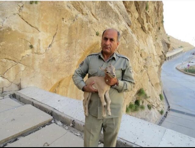 شهادت یک محیط بان در منطقه حفاظت شده خاییز