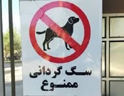 سگ‌گردانی در کرمان ممنوع شد / خودروی حامل سگ توقیف می‌شود