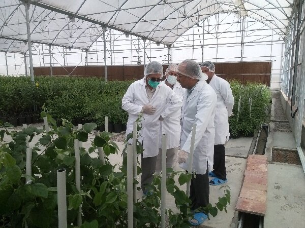 اختصاص ۶۰۰ میلیون تومان تسهیلات کم‌بهره برای ایجاد کلینیک‌های گیاه‌پزشکی