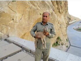 قاتل محیط‌بان «دیده بان» دستگیر شد