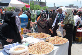 بازار خرید عید قربان در ترکمن صحرا