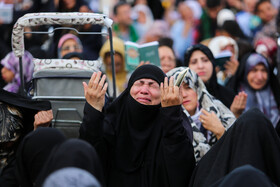 برگزاری مراسم با‌شکوه دعای عرفه در حرم امام رضا (ع) - مشهد