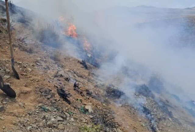 عکس تزئینی است آتشسوزی گسترده در منطقه امند زنجان تحت کنترل است