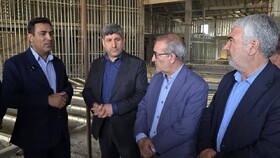 بزرگترین پروژه فرهنگی و هنری کشور پس از ۱۷ سال معطل اعتبار است