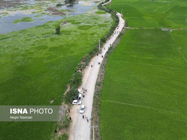 برزخ بلاتکلیفی یک ماهه برای پیمانکار آب‌بندان آغوزبن بابل