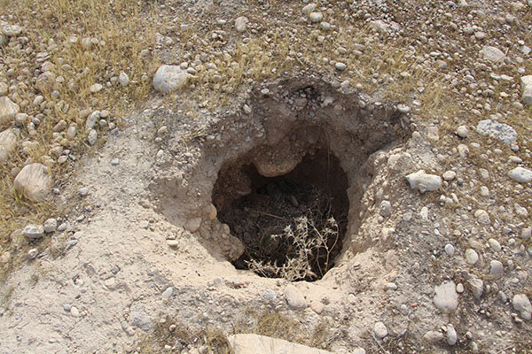 تجاوز به محوطۀ ۳۰۰۰ سالۀ «جوبَجی»