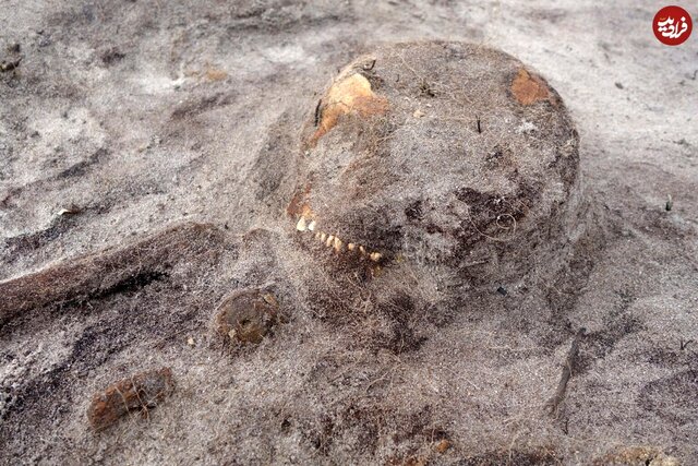 کشف مقبرۀ هزار سالۀ «زن وایکینگ و سگ وفادارش» که در یک «قایق» دفن شده بودند