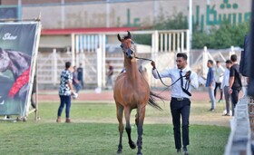 ثبت جشنواره «شو اسب‌سواری» سرعین در تقویم رویدادهای گردشگری کشور