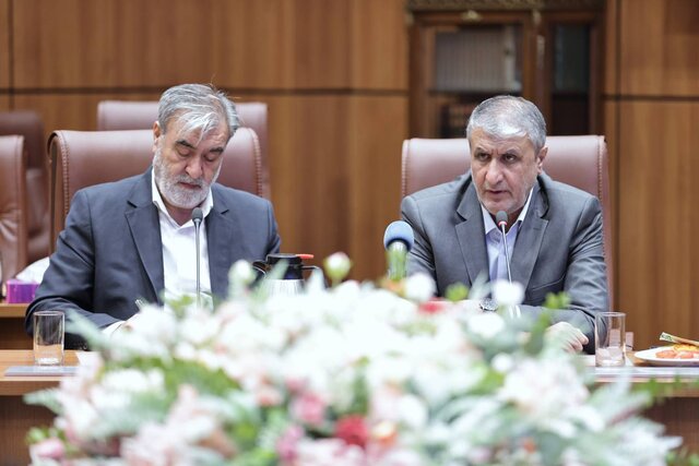 اسلامی: نصب رینگ دوم راکتور بوشهر مطابق برنامه انجام شد