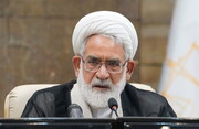 رئیس دیوان عالی: رسیدگی دقیق به پرونده‌ها، یکی از راهکارهای اساسی در کاهش اطاله دادرسی است