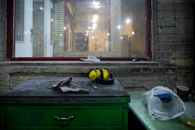 بازدید از شرکت توربین وزارت نیرو