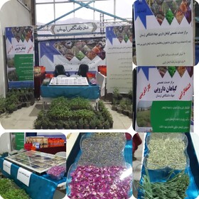 مجتمع تحقیقات جهاد دانشگاهی لرستان ظرفیت تولید یک میلیون نشاء گیاهان دارویی را دارد