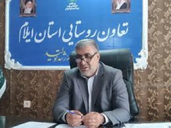 هم‌افزایی تعاونی‌ها برای ارتقای وضعیت اقتصادی ایوان