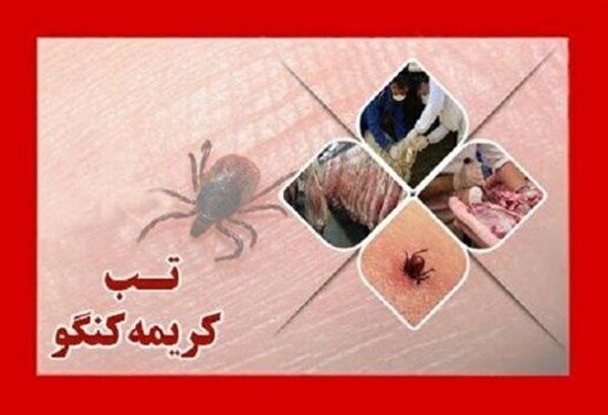 شناسایی ۲ بیمار مبتلا به تب کریمه کنگو در استان اردبیل