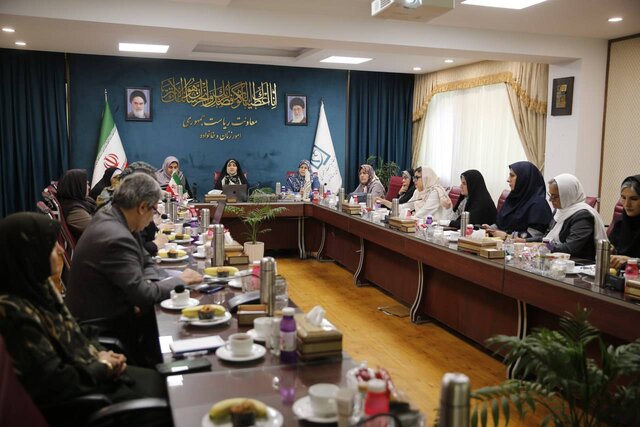 مشارکت سیاسی تنها به انتصاب در مناصب دولتی محدود نشود/ عزم دولت برای تحقق عدالت جنسیتی در عرصه سیاست و حکمرانی مشارکت سیاسی تنها به انتصاب در مناصب دولتی محدود نشود/ عزم دولت برای تحقق عدالت جنسیتی در عرصه سیاست و حکمرانی