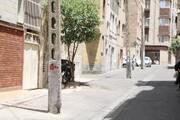 جابجایی ۹۱۳ پایه برق محدودکننده تردد در تهران؛ رفع کامل معارضات تا پایان سال