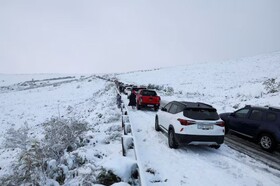 سرمای شدید و برف سنگین در آفریقای جنوبی به قطعی برق و تصادفات رانندگی منجر شد