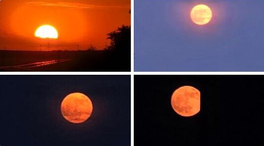 آلبوم تصاویر ماه صورتی ژوئن از نگاه کاربران پلتفرم ایکس