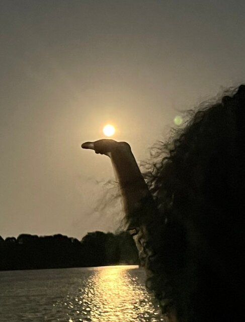 آلبوم تصاویر ماه صورتی ژوئن از نگاه کاربران پلتفرم ایکس