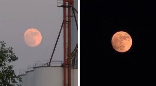 آلبوم تصاویر ماه صورتی ژوئن از نگاه کاربران پلتفرم ایکس