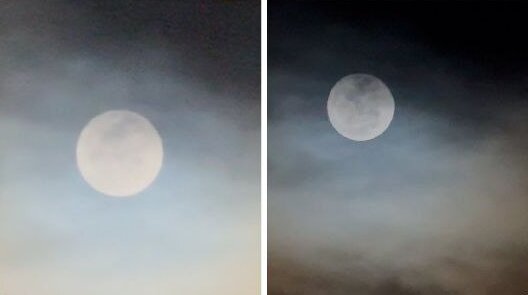 آلبوم تصاویر ماه صورتی ژوئن از نگاه کاربران پلتفرم ایکس