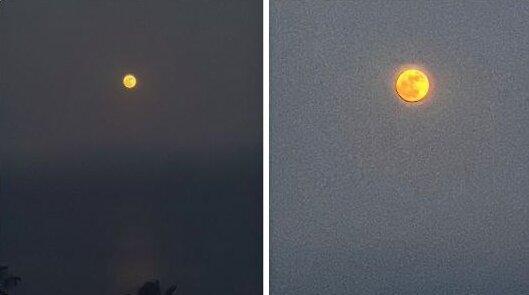 آلبوم تصاویر ماه صورتی ژوئن از نگاه کاربران پلتفرم ایکس