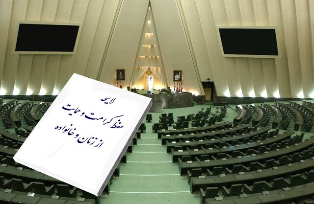 نادری: لایحه حمایت از زنان با تعامل به نتیجه می‌رسد