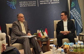 رایزنی معاون وزیر خارجه ایران با وزیر تجارت اندونزی در جاکارتا
