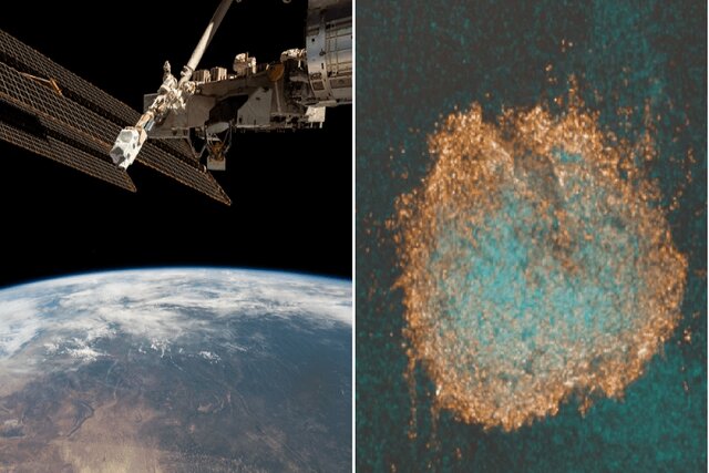 شاید کلید درمان سرطان در فضا پنهان شده باشد! شاید کلید درمان سرطان در فضا پنهان شده باشد!