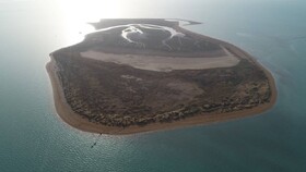 دو منطقه ساحلی-دریایی در خوزستان به فهرست مناطق تحت مدیریت سازمان محیط زیست افزوده شد