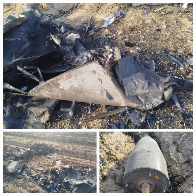 عکس: آرشیوی لاشه ۲ ریزپرنده در چهارمحال و بختیاری پیدا شد