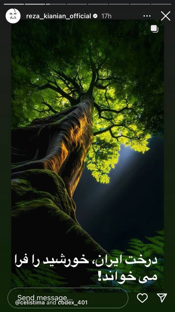 قلب هنرمندان و ادبا برای ایران و ایرانی میتپد/واکنشها ادامه دارد