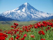 دماوند به رویت لبخند می‌زند
