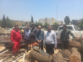 متخلف قطع درختان تنگ سریز شهرستان بویراحمد دستگیر شد