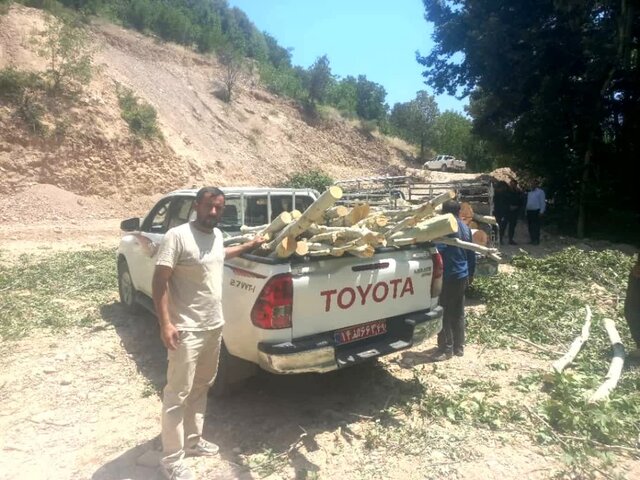 متخلف قطع درختان تنگ سریز شهرستان بویراحمد دستگیر شد