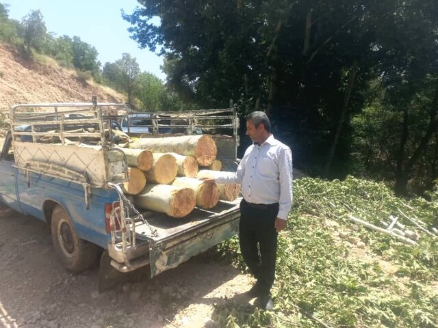 متخلف قطع درختان تنگ سریز شهرستان بویراحمد دستگیر شد