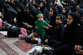 همایش شیرخوارگان حسینی - کاشان
